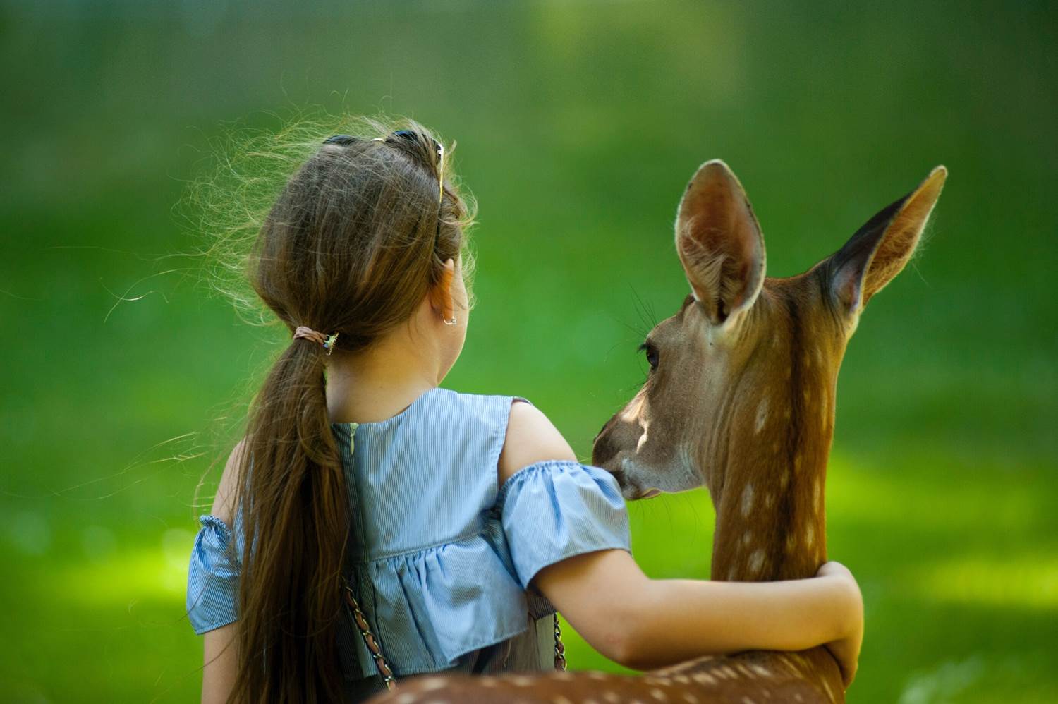 Teaching Children to Respect and Care for Nature: Nurturing the Cycle of Caring